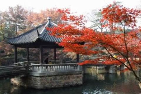 【隨華全 觀天下】 ——風(fēng)雅常熟，我們一起感動！