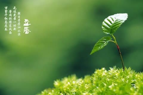 昨夜伴春回！華全發(fā)電機組2月4日盛裝營業(yè)